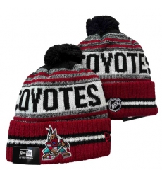 NHL Arizona Coyotes Beanies Hats 2402